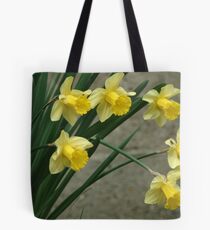Shouting spring Tote Bag