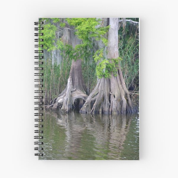 Item preview, St.Jonhn's River, Florida designed and sold by Margaret Shark.