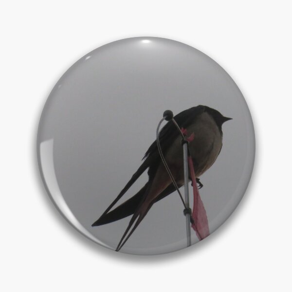 Item preview, Swallow - Good To Be Back designed and sold by wiggyofipswich.