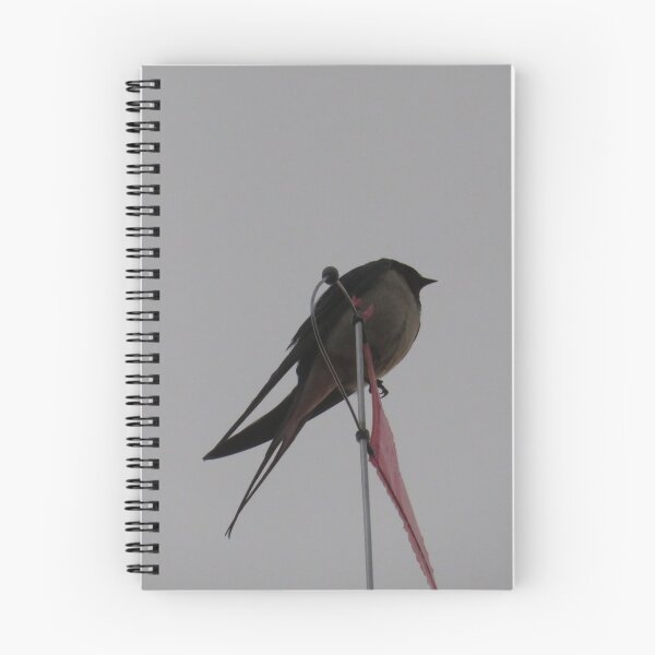 Item preview, Swallow - Good To Be Back designed and sold by wiggyofipswich.
