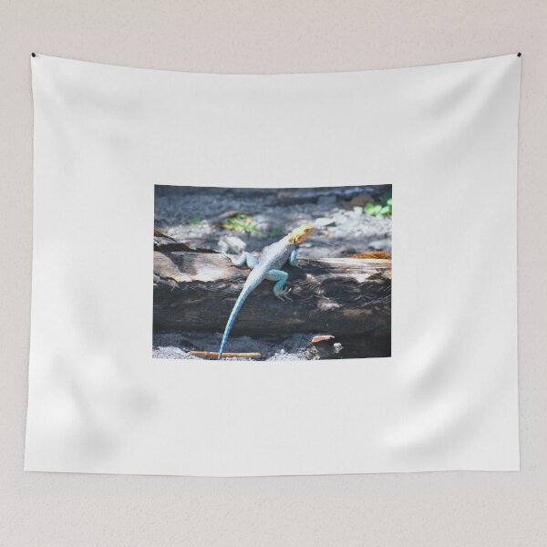 Item preview, Lounge Lizard  - Turtle Bay, Watamu, Kenya, Africa designed and sold by exploramum.