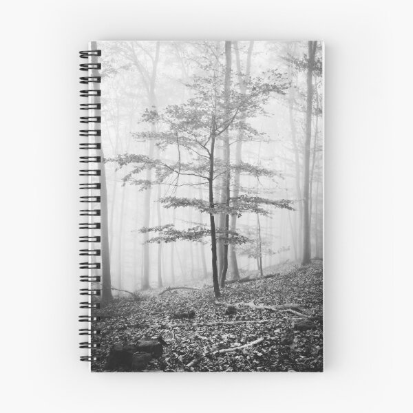Item preview, Photo forest in the Odenwald in the homeland Hesse black and white designed and sold by Marvin Diehl.