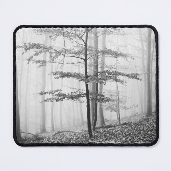 Item preview, Photo forest in the Odenwald in the homeland Hesse black and white designed and sold by Marvin Diehl.
