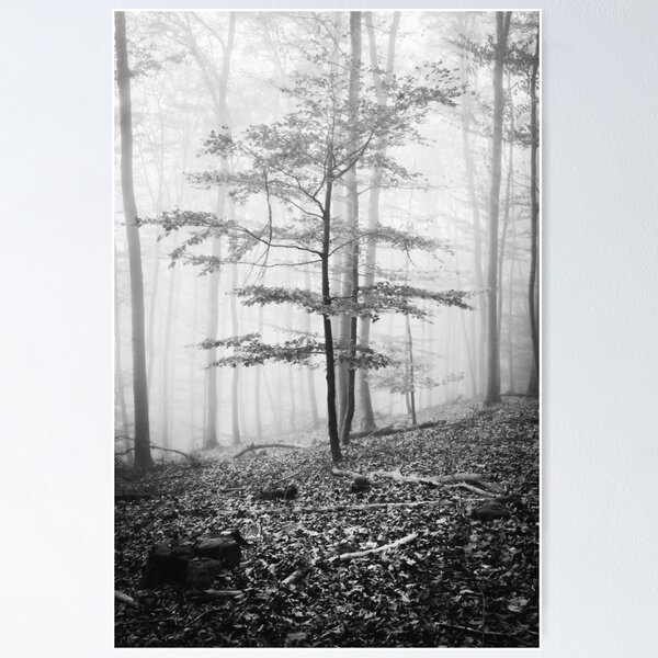 Item preview, Photo forest in the Odenwald in the homeland Hesse black and white designed and sold by Marvin Diehl.