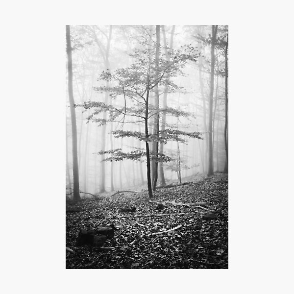 Item preview, Photo forest in the Odenwald in the homeland Hesse black and white designed and sold by Marvin Diehl.