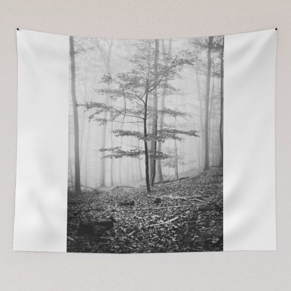 Item preview, Photo forest in the Odenwald in the homeland Hesse black and white designed and sold by Marvin Diehl.