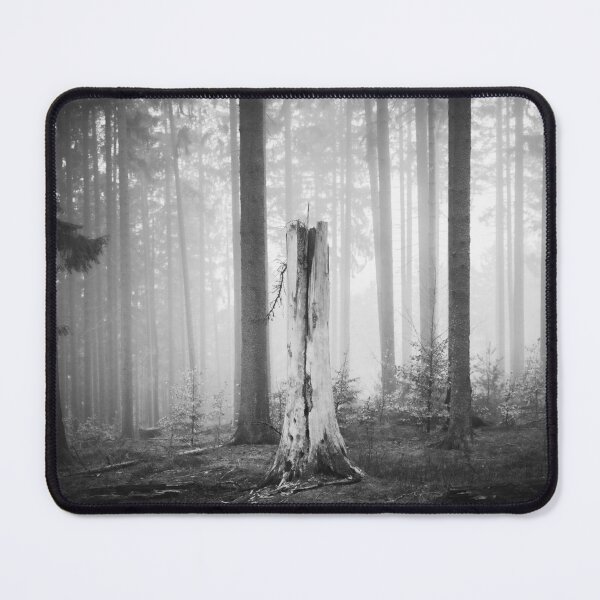 Item preview, Photo forest in the Odenwald in the homeland Hesse black and white designed and sold by Marvin Diehl.