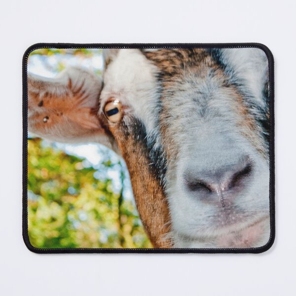 Item preview, Old English Billy Goat designed and sold by AndyEvansPhotos.