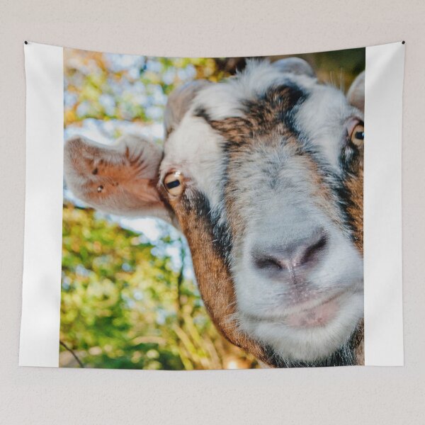 Item preview, Old English Billy Goat designed and sold by AndyEvansPhotos.