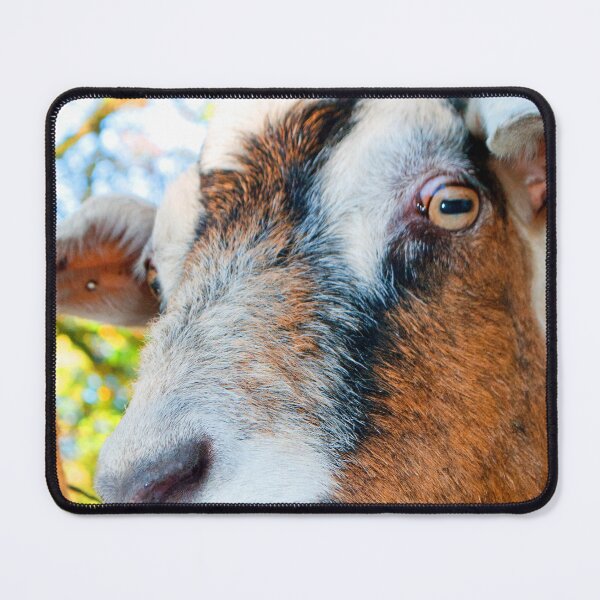 Item preview, Old English Billy Goat designed and sold by AndyEvansPhotos.