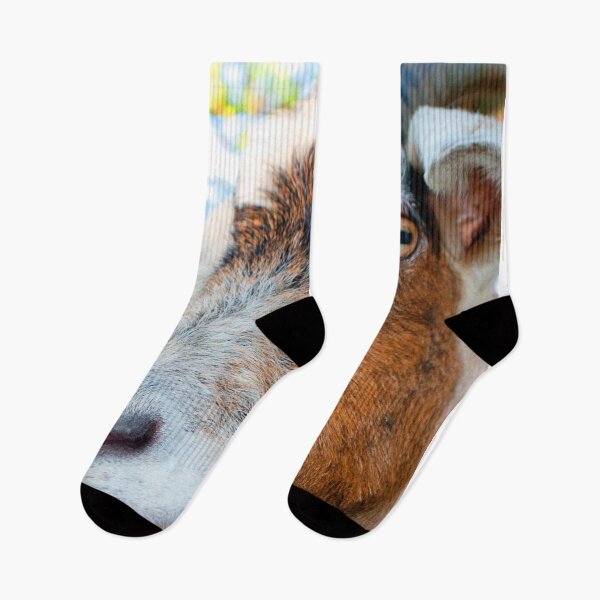 Item preview, Old English Billy Goat designed and sold by AndyEvansPhotos.
