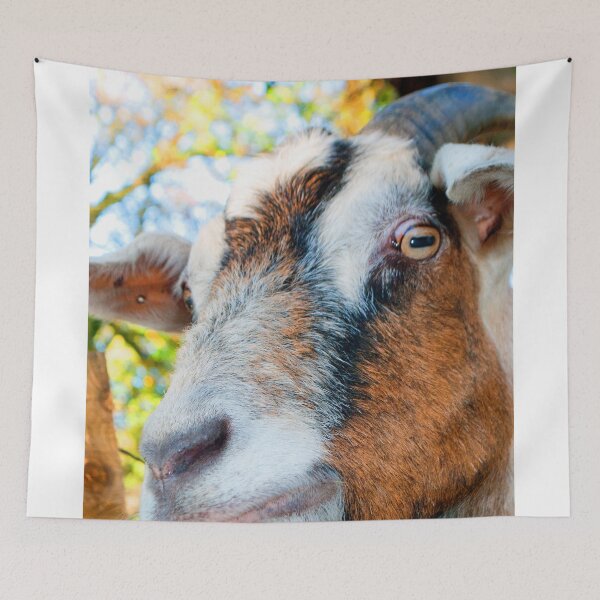 Item preview, Old English Billy Goat designed and sold by AndyEvansPhotos.