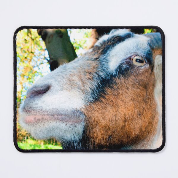 Item preview, Old English Billy Goat designed and sold by AndyEvansPhotos.