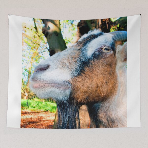 Item preview, Old English Billy Goat designed and sold by AndyEvansPhotos.