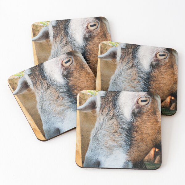 Item preview, Old English Billy Goat designed and sold by AndyEvansPhotos.