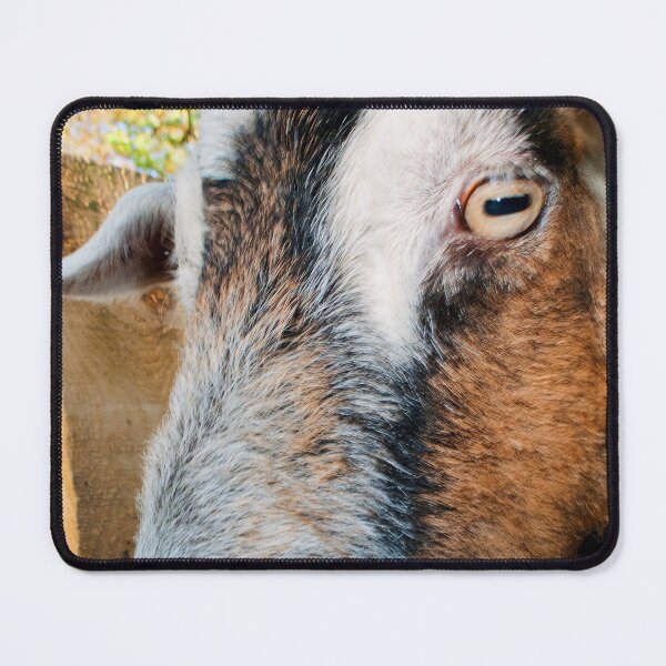 Item preview, Old English Billy Goat designed and sold by AndyEvansPhotos.
