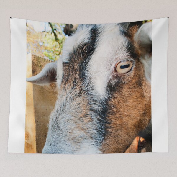 Item preview, Old English Billy Goat designed and sold by AndyEvansPhotos.