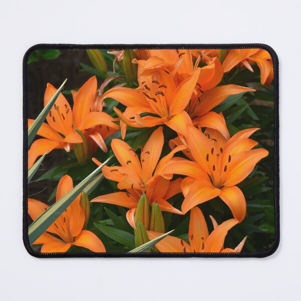 Item preview, Lilies in the Garden designed and sold by bertsworks300.