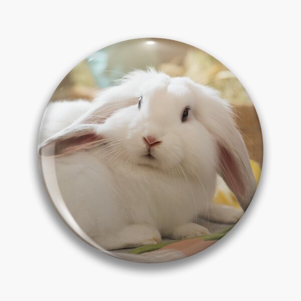Item preview, Beautiful white rabbit designed and sold by Bellas-Artes-99.