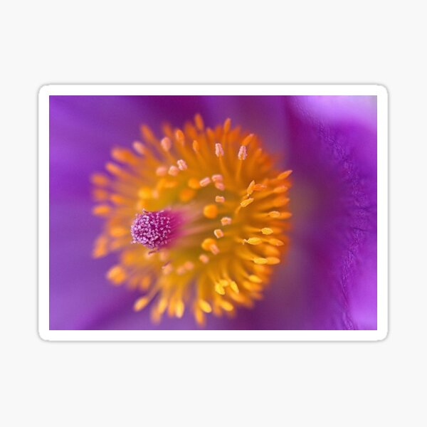 Flower Power Sticker
