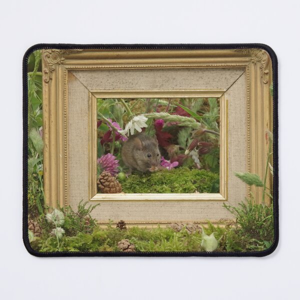 Item preview, wildlife mouse frame art  designed and sold by Simon-dell.