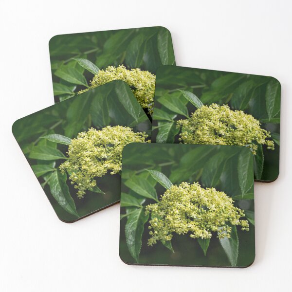 Item preview, Mexican elderberry bloom designed and sold by Art in Nature.