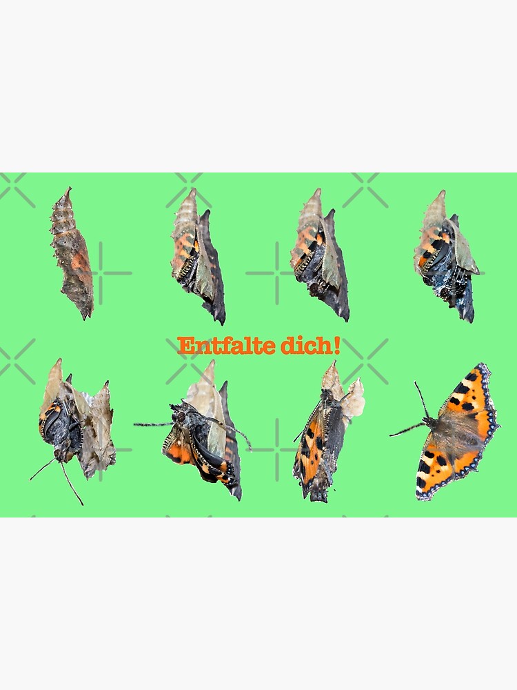 Thumbnail 7 von 7, Gerahmter Kunstdruck, Entfalte dich designt und verkauft von Igelchen.