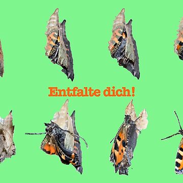 Vorschaubild zum Design Entfalte dich von Katja LebenFreude