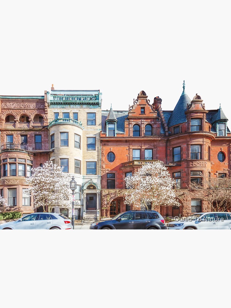 Spring's Brownstone Magnolias by owedtonature