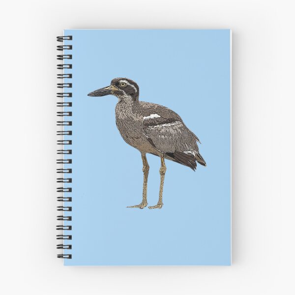 Item preview, Beach Thick-nee Stone-curlew Color Design  designed and sold by designsasstultd.