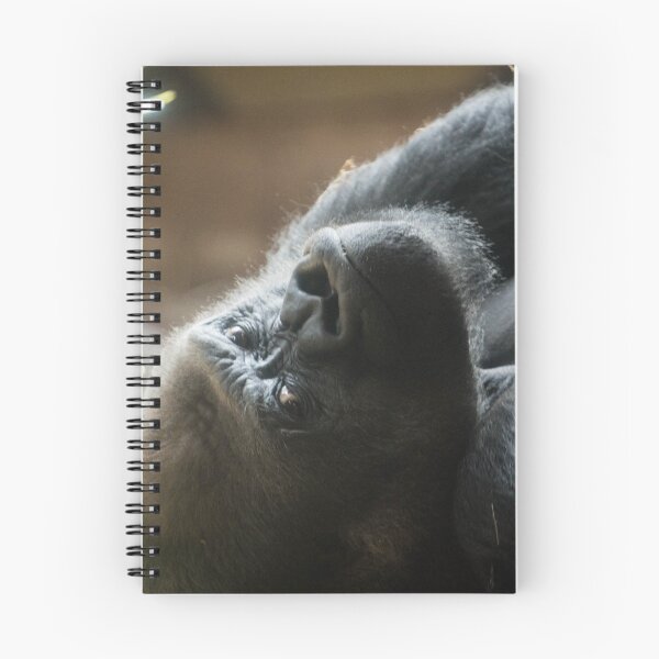 Item preview, Gorilla designed and sold by Disfixional.