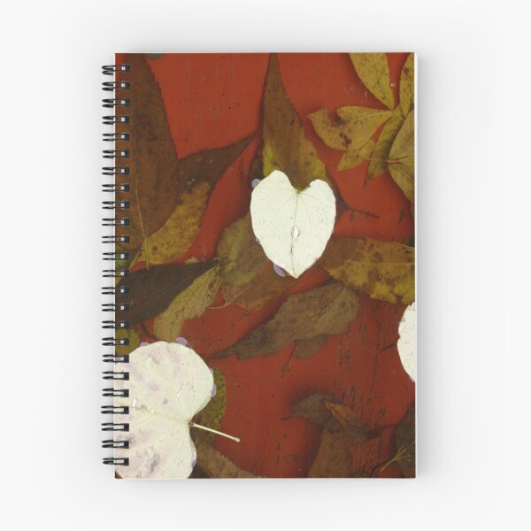 Aperçu de l'œuvre Feuilles d'automne créée et vendue par RedLeafPine.