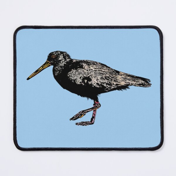 Item preview, Sooty Oystercatcher Black Alternate Design  designed and sold by designsasstultd.