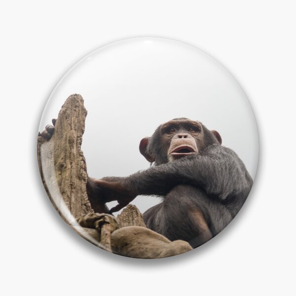 Item preview, Chimpance designed and sold by migrainewar7.