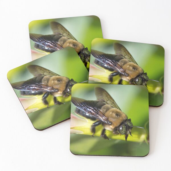 Item preview, Bee Closeup designed and sold by migrainewar7.
