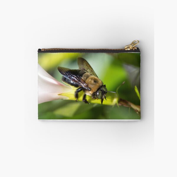 Item preview, Bee Closeup designed and sold by migrainewar7.