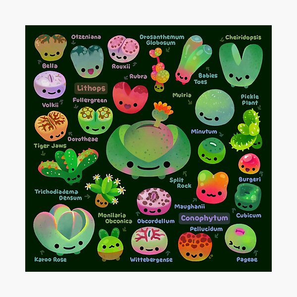 Aperçu de l'œuvre Bébé succulente 3 - Mesembs (foncé) créée et vendue par pikaole.