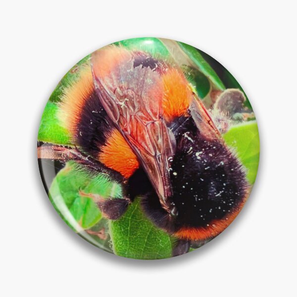 Item preview, Sweet bumble bee  designed and sold by Xoaimee86.