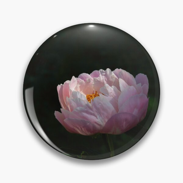 Item preview, Peony1-2024 designed and sold by Thomasyoung.