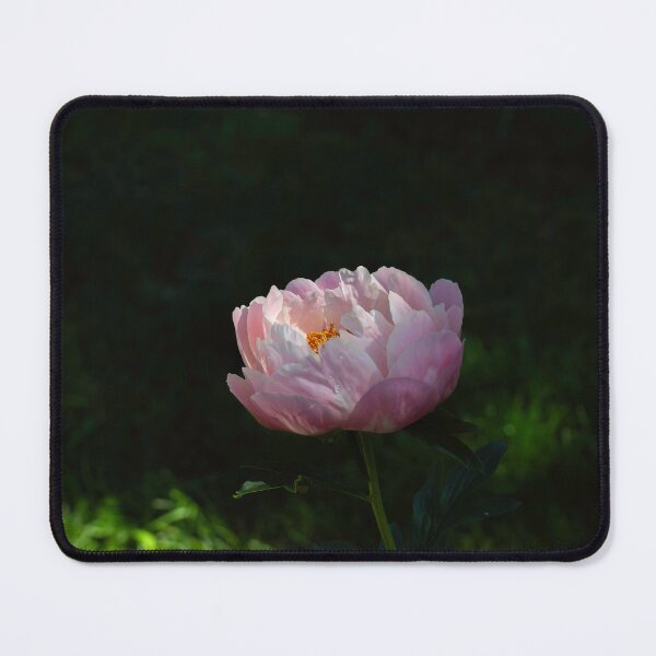 Item preview, Peony1-2024 designed and sold by Thomasyoung.