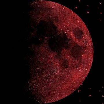 Artwork thumbnail, Red Moon   by Pani Kara