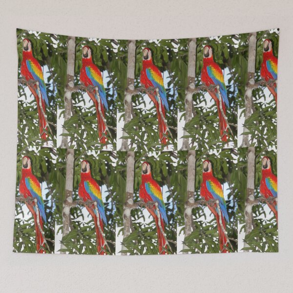 Item preview, Scarlet Macaw Posing designed and sold by Carole-Anne.