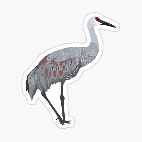 Item preview, Sandhill Crane designed and sold by kalibearco.