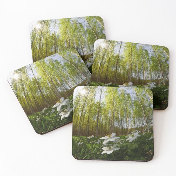Item preview, High sky and sun. Wood Anemone designed and sold by Jouko Lehto Photography.