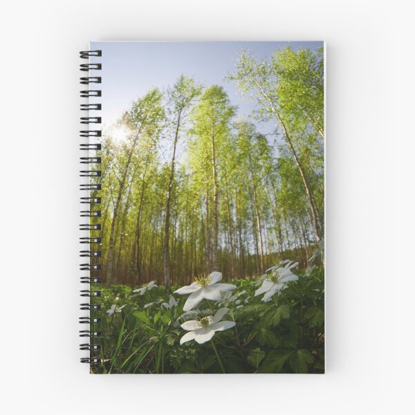 Item preview, High sky and sun. Wood Anemone designed and sold by Jouko Lehto Photography.