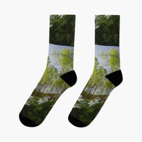 Item preview, High sky and sun. Wood Anemone designed and sold by Jouko Lehto Photography.