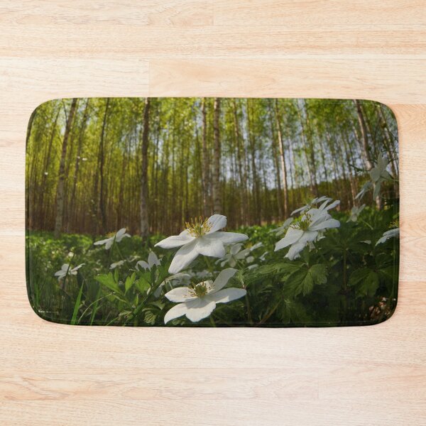 Item preview, High sky and sun. Wood Anemone designed and sold by Jouko Lehto Photography.