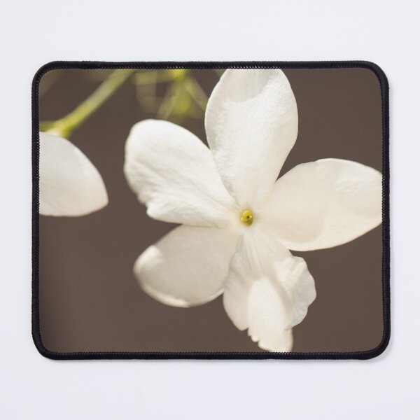 Item preview, Whispers of Jasmine: Pure Elegance in Bloom designed and sold by DoodlingPrints.