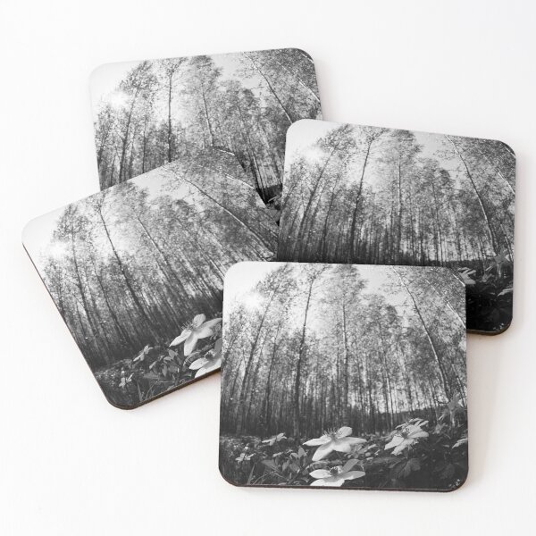 Item preview, High sky and sun. Wood Anemone bw designed and sold by Jouko Lehto Photography.