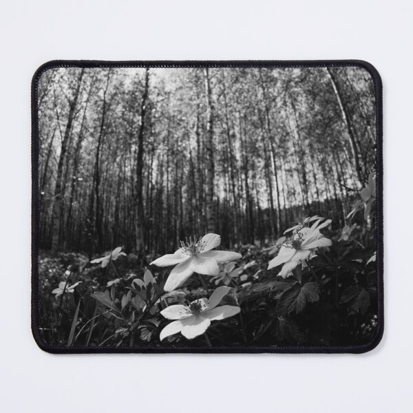 Item preview, High sky and sun. Wood Anemone bw designed and sold by Jouko Lehto Photography.